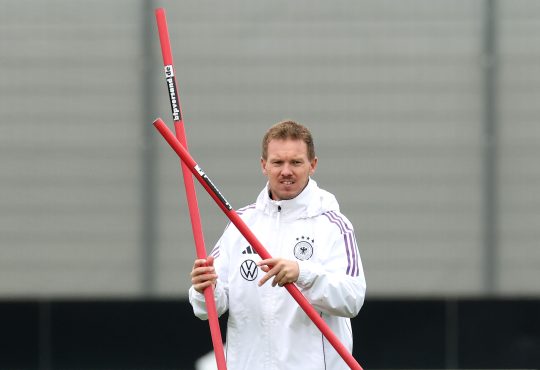 Julian Nagelsmann, DFB