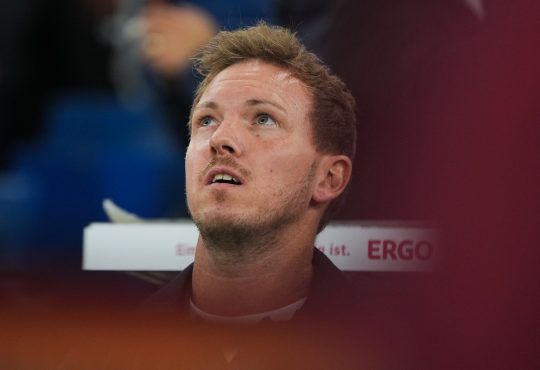 Julian Nagelsmann, DFB-Team