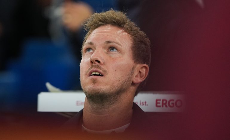 Julian Nagelsmann, DFB-Team