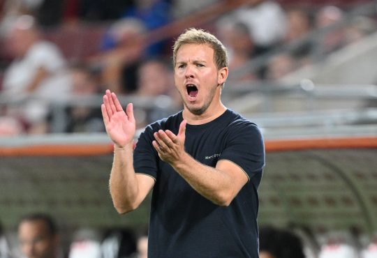 Julian Nagelsmann, DFB