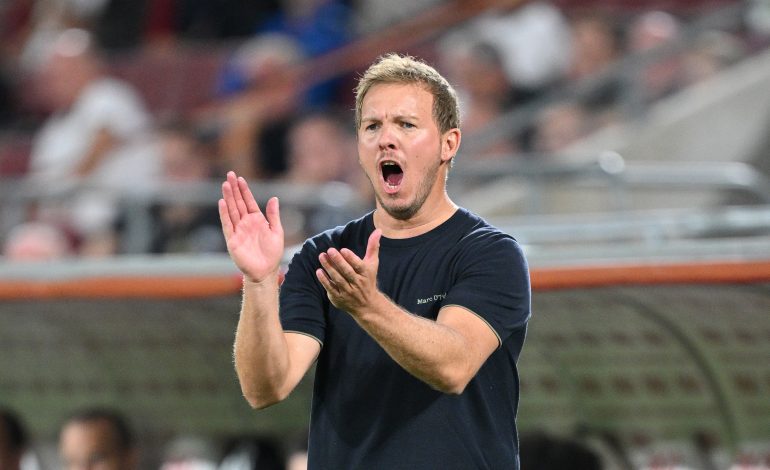 Julian Nagelsmann, DFB