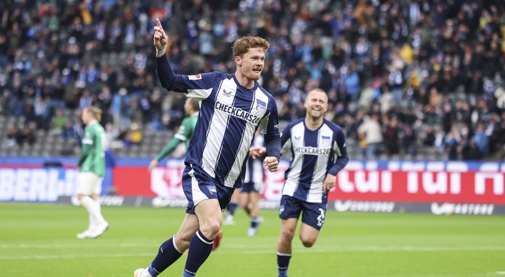Sebastian Grönning, Hertha BSC