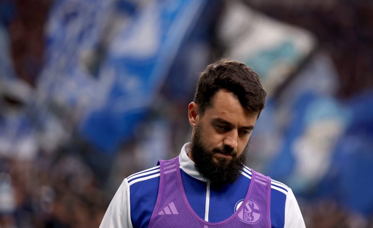 Amin Younes, Schalke 04