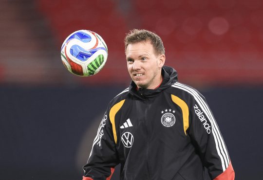 Julian Nagelsmann, DFB-Team