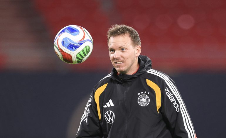 Julian Nagelsmann, DFB-Team