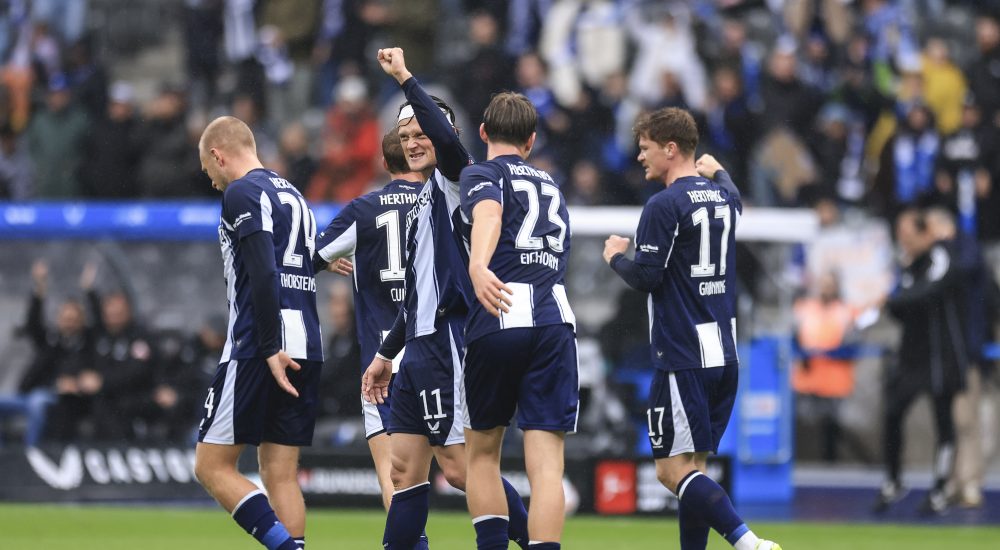 Hertha BSC, Symbolbild