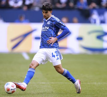 Mertcan Ayhan, Schalke 04