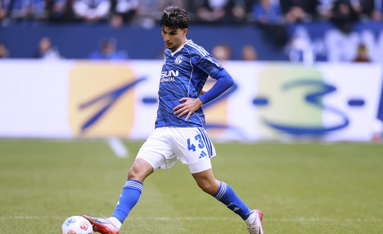 Mertcan Ayhan, Schalke 04