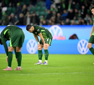 VfL Wolfsburg 1899 Hoffenheim