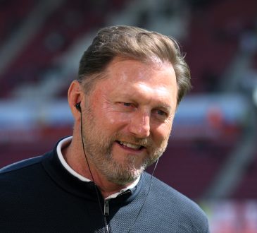 Ralph Hasenhüttl, VfL Wolfsburg