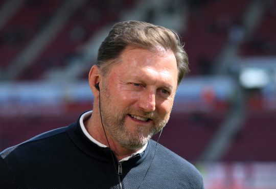 Ralph Hasenhüttl, VfL Wolfsburg