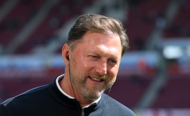 Ralph Hasenhüttl, VfL Wolfsburg