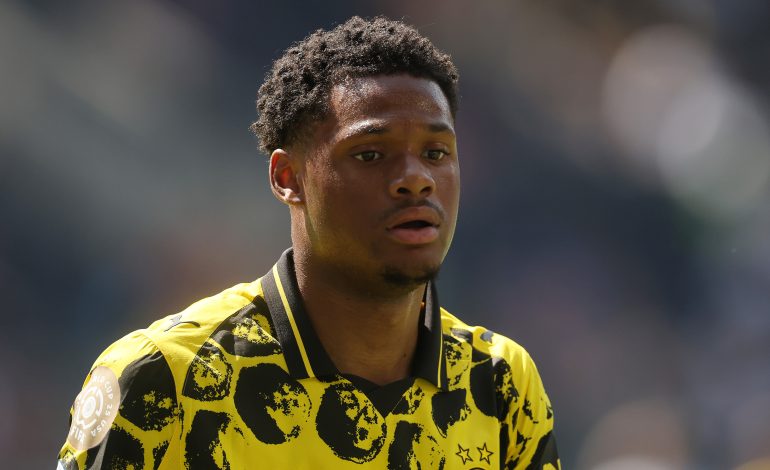 Julien Duranville, Borussia Dortmund