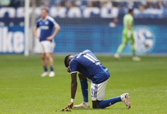 Bryan Lasme, FC Schalke 04