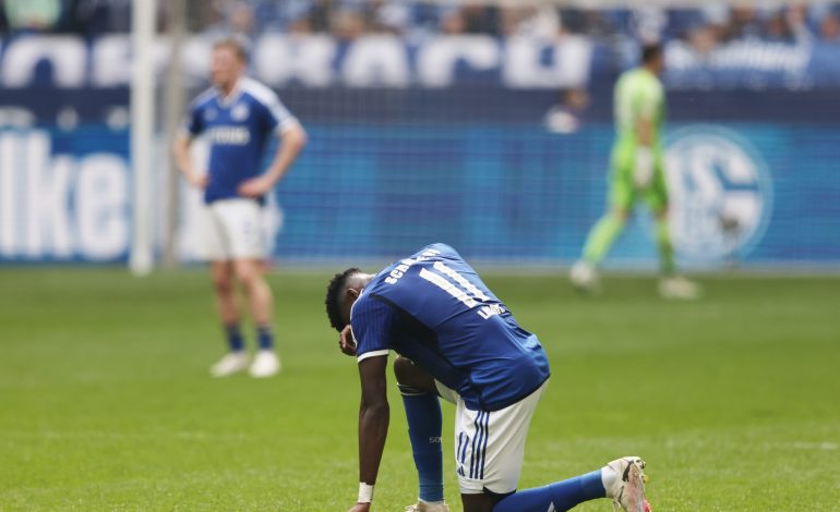 Bryan Lasme, FC Schalke 04