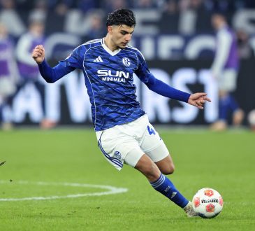 Mertcan Ayhan, FC Schalke 04