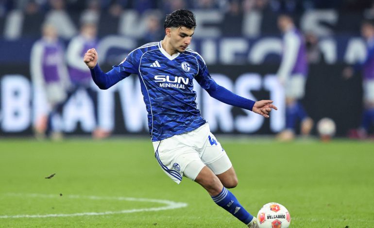 Mertcan Ayhan, FC Schalke 04