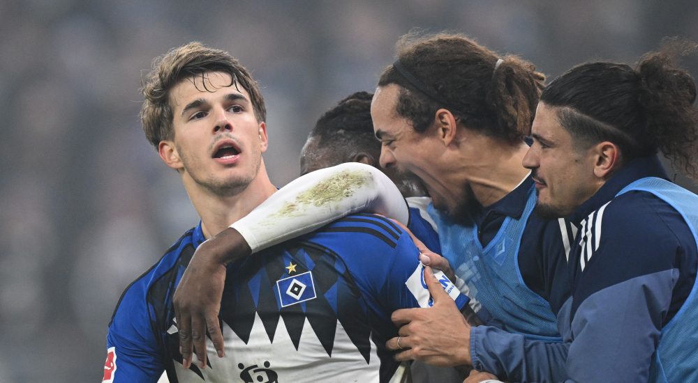 Luka Vuskovic, Hamburger SV