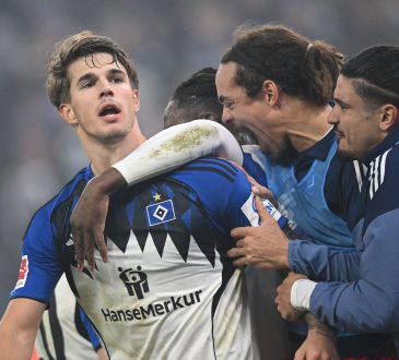 Luka Vuskovic, Hamburger SV