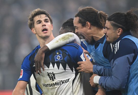 Luka Vuskovic, Hamburger SV