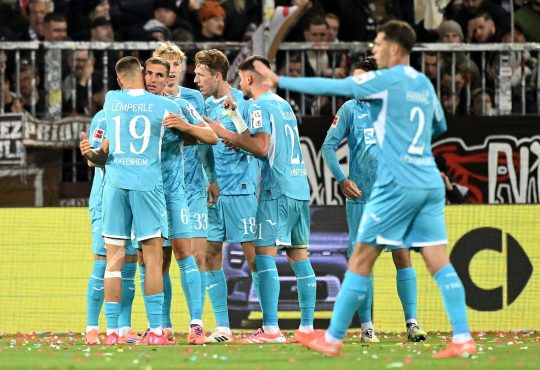 Spieler der TSG Hoffenheim