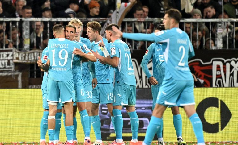 Spieler der TSG Hoffenheim