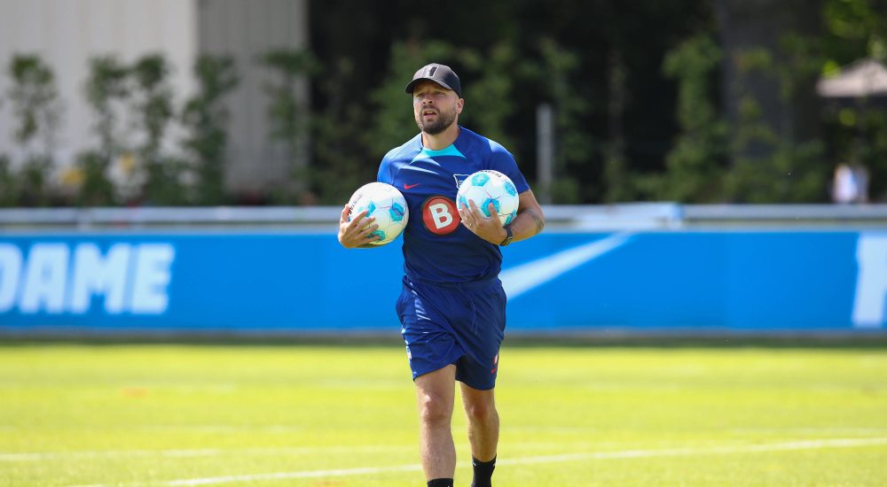 Admir Hamzagić, Hertha BSC