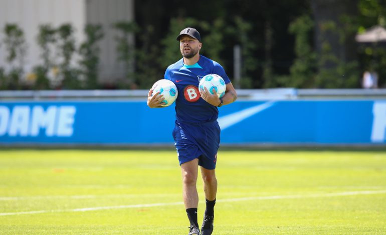 Admir Hamzagić, Hertha BSC