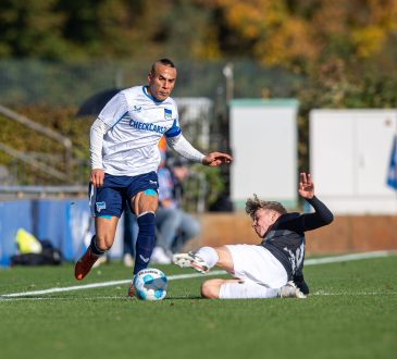 Änis Ben-Hatira, Hertha BSC II
