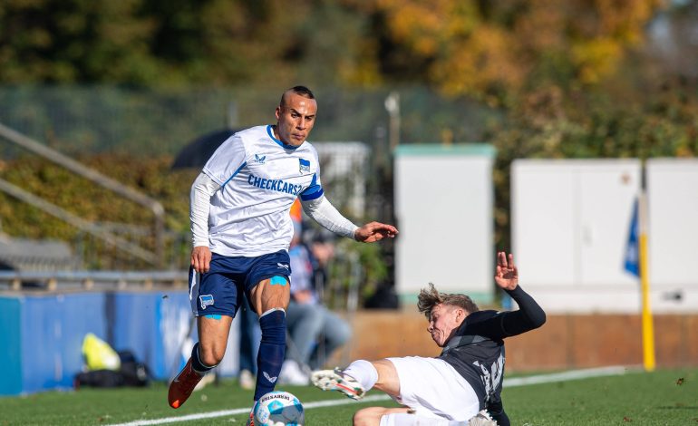 Änis Ben-Hatira, Hertha BSC II