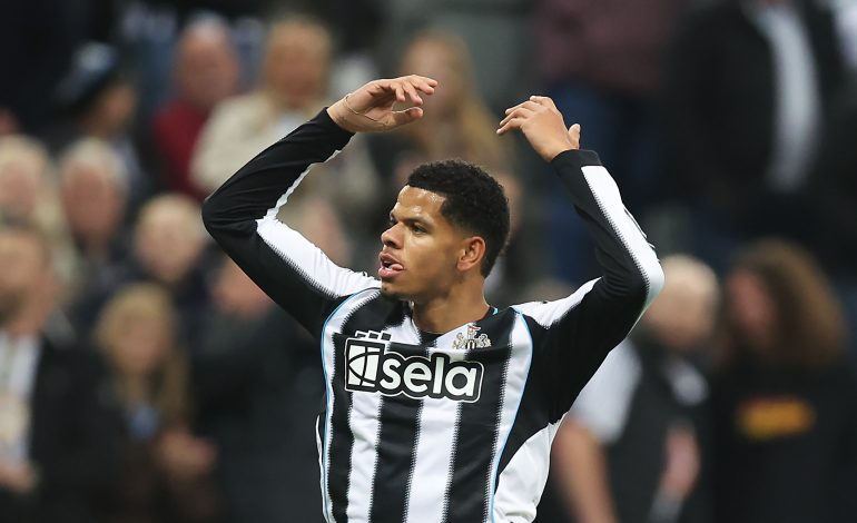 William Osula, Newcastle United