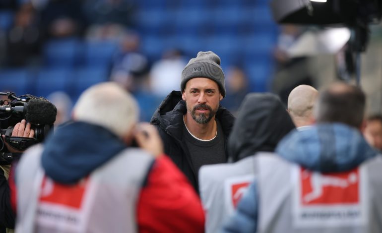 Sandro Wagner, FC Augsburg