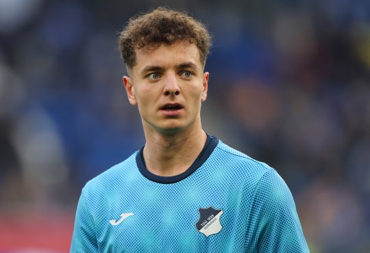 Fisnik Asllani, TSG Hoffenheim