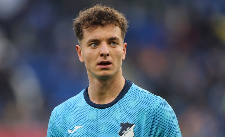 Fisnik Asllani, TSG Hoffenheim