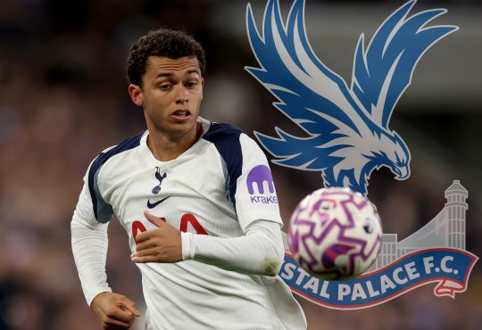 Brennan Johnson im Tottenham Trikot