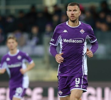 Edin Dzeko, ACF Fiorentina