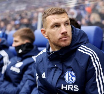 Edin Dzeko, FC Schalke 04