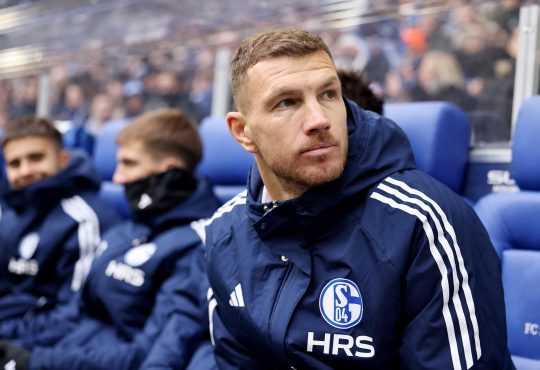 Edin Dzeko, FC Schalke 04