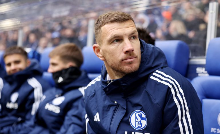 Edin Dzeko, FC Schalke 04
