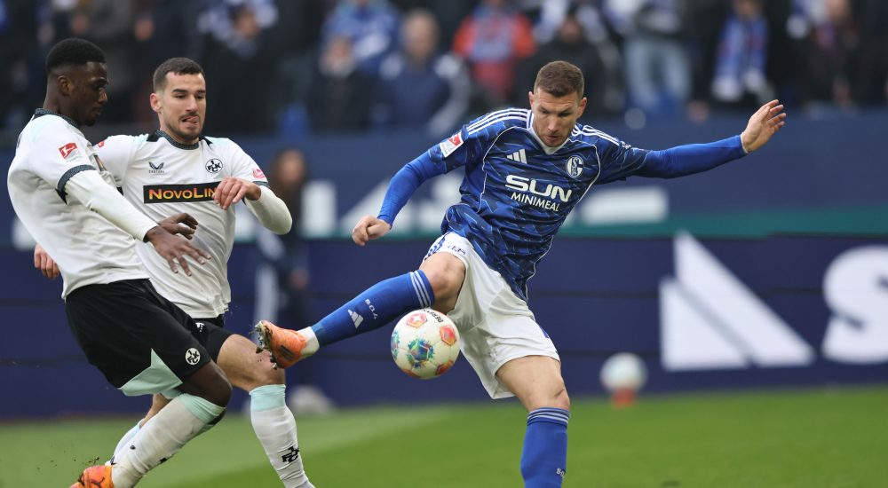Edin Džeko, FC Schalke 04
