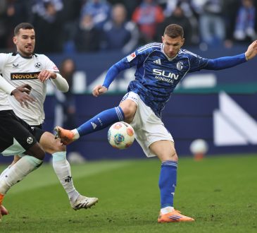 Edin Džeko, FC Schalke 04