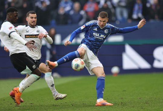 Edin Džeko, FC Schalke 04