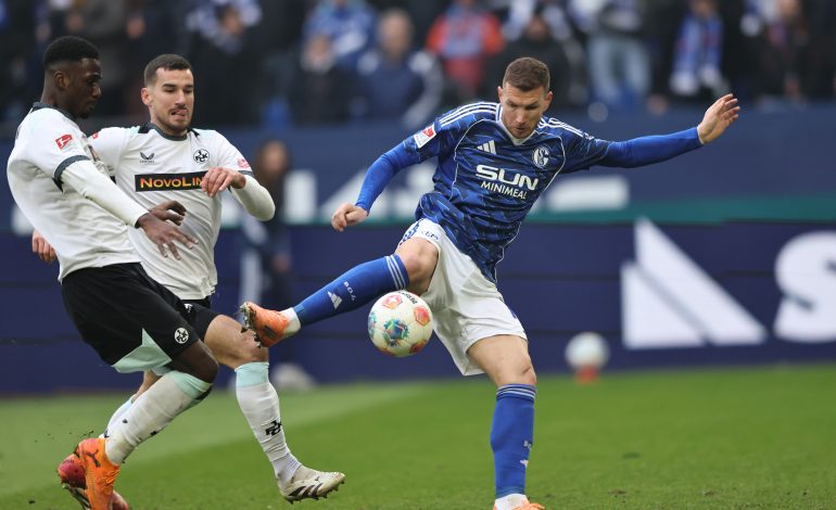 Edin Džeko, FC Schalke 04