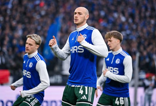 Hanning Matriciani, Schalke 04