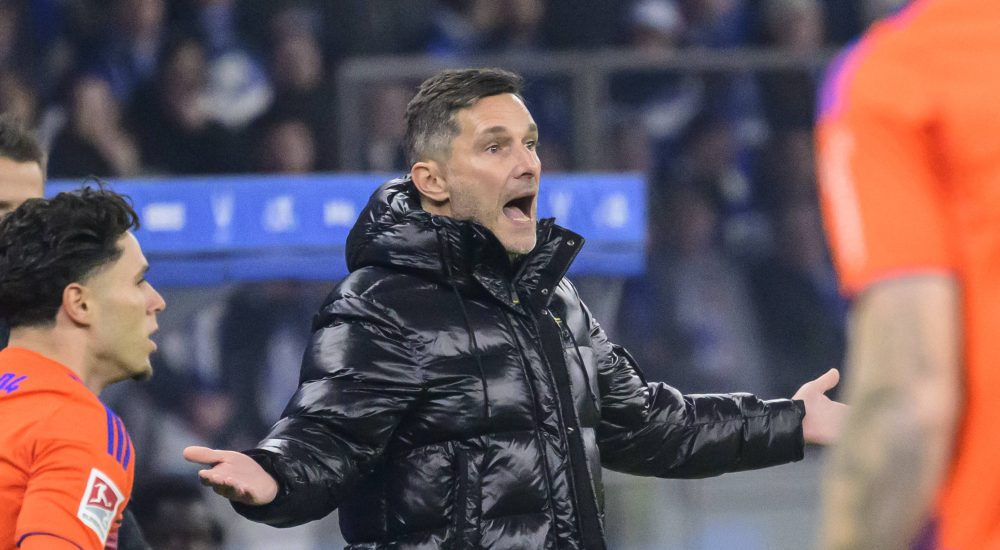 Stefan Leitl, Hertha BSC