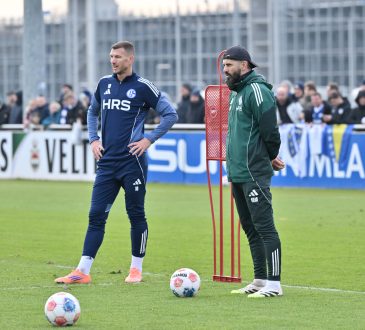 Edin Džeko, Miron Muslic, Schalke 04