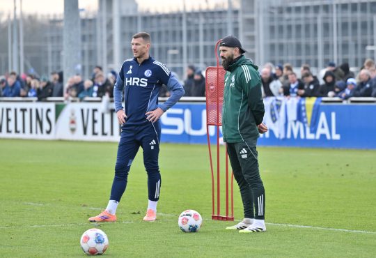 Edin Džeko, Miron Muslic, Schalke 04