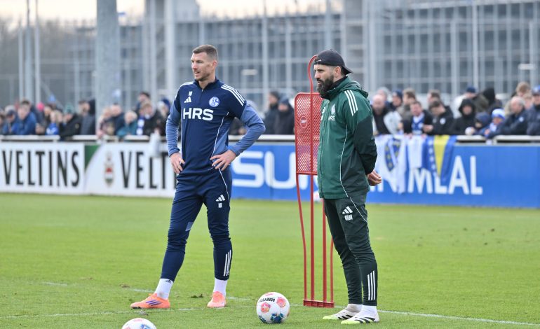 Edin Džeko, Miron Muslic, Schalke 04