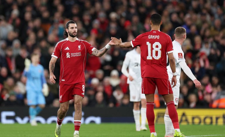 Dominik Szoboszlai, Cody Gakpo