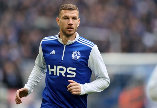 Edin Dzeko von FC Schalke 04